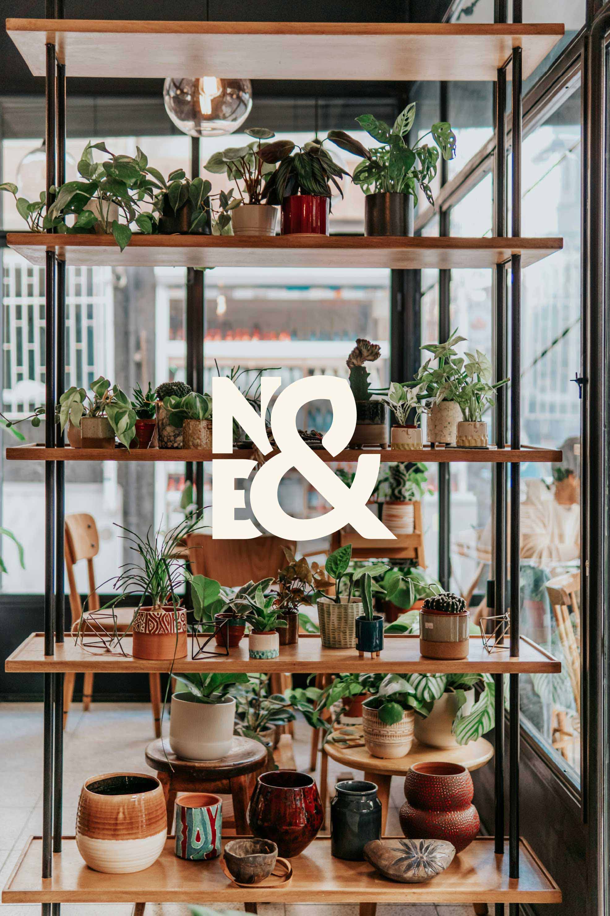 Nest & Bloom Shelf